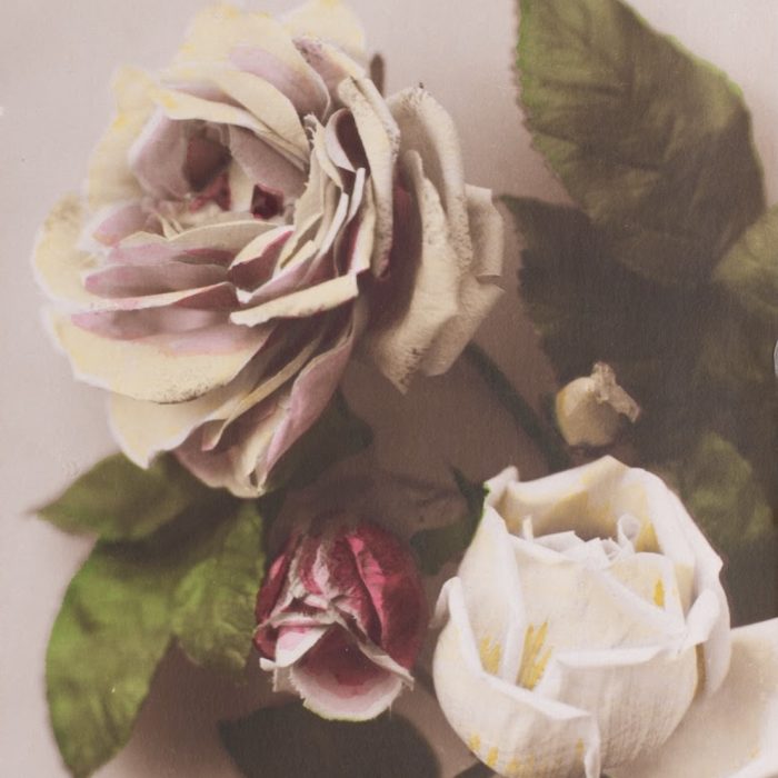 A Little Bird Garden Museum Wild & Cultivated Roses