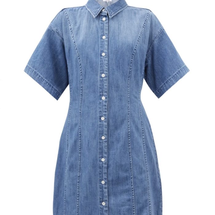 A Little Bird Frame Denim Dress
