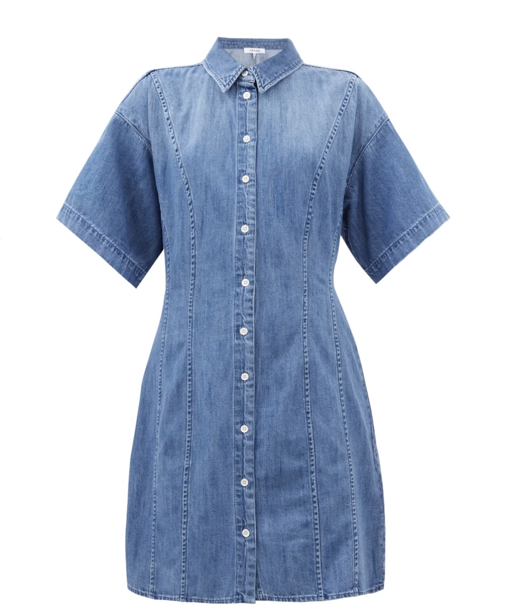 A Little Bird Frame Denim Dress