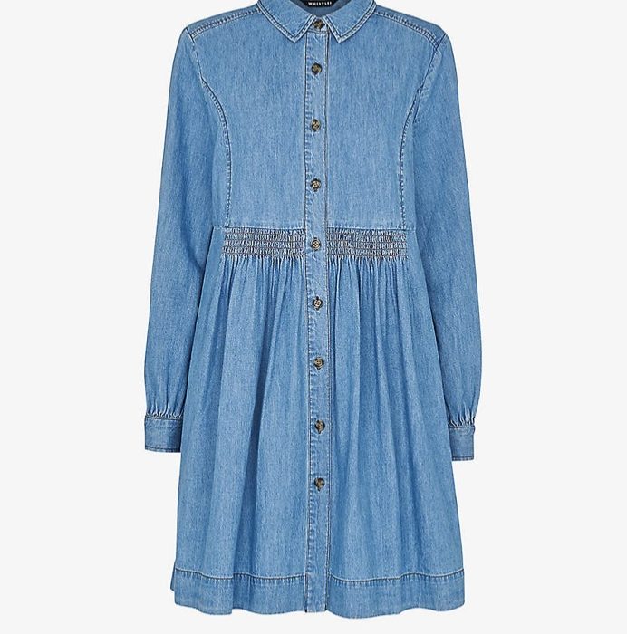 A Little Bird Whistles Denim Dress