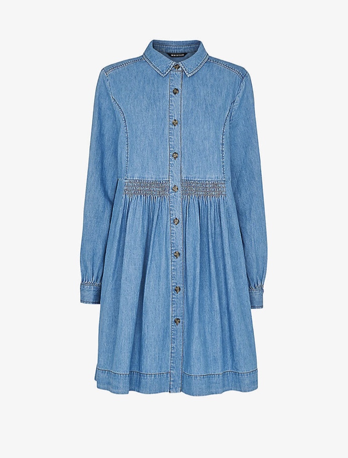 A Little Bird Whistles Denim Dress