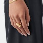 A Little Bird - Savi Ring