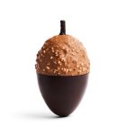 A Little Bird - Acorn Egg