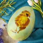 A Little Bird - chick