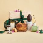 A Little Bird - Newt Hamper
