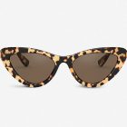 A Little Bird selects the best sunglasses