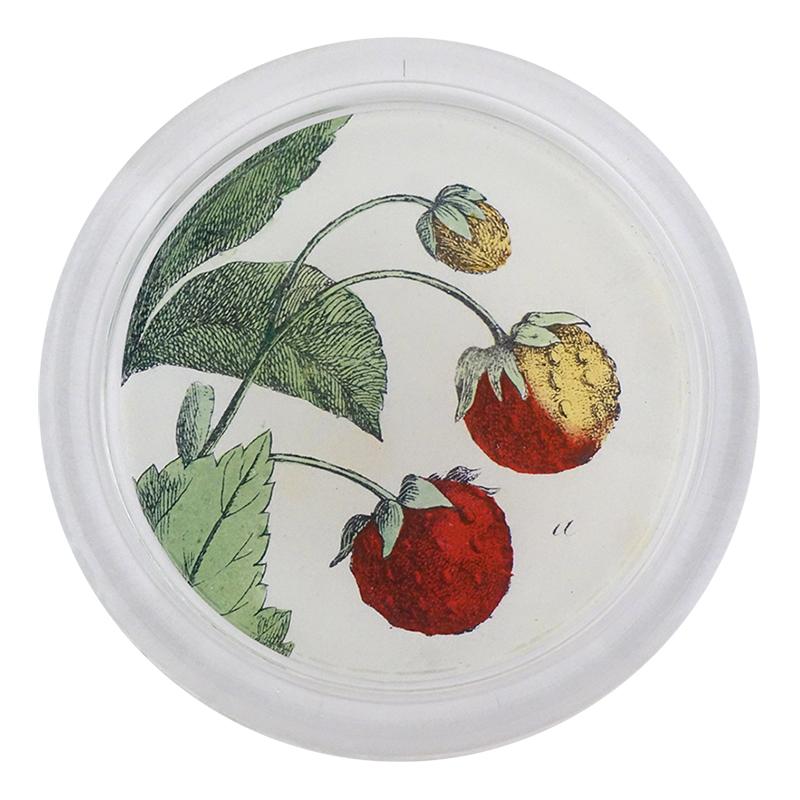A Little Bird - Strawberries Coaster