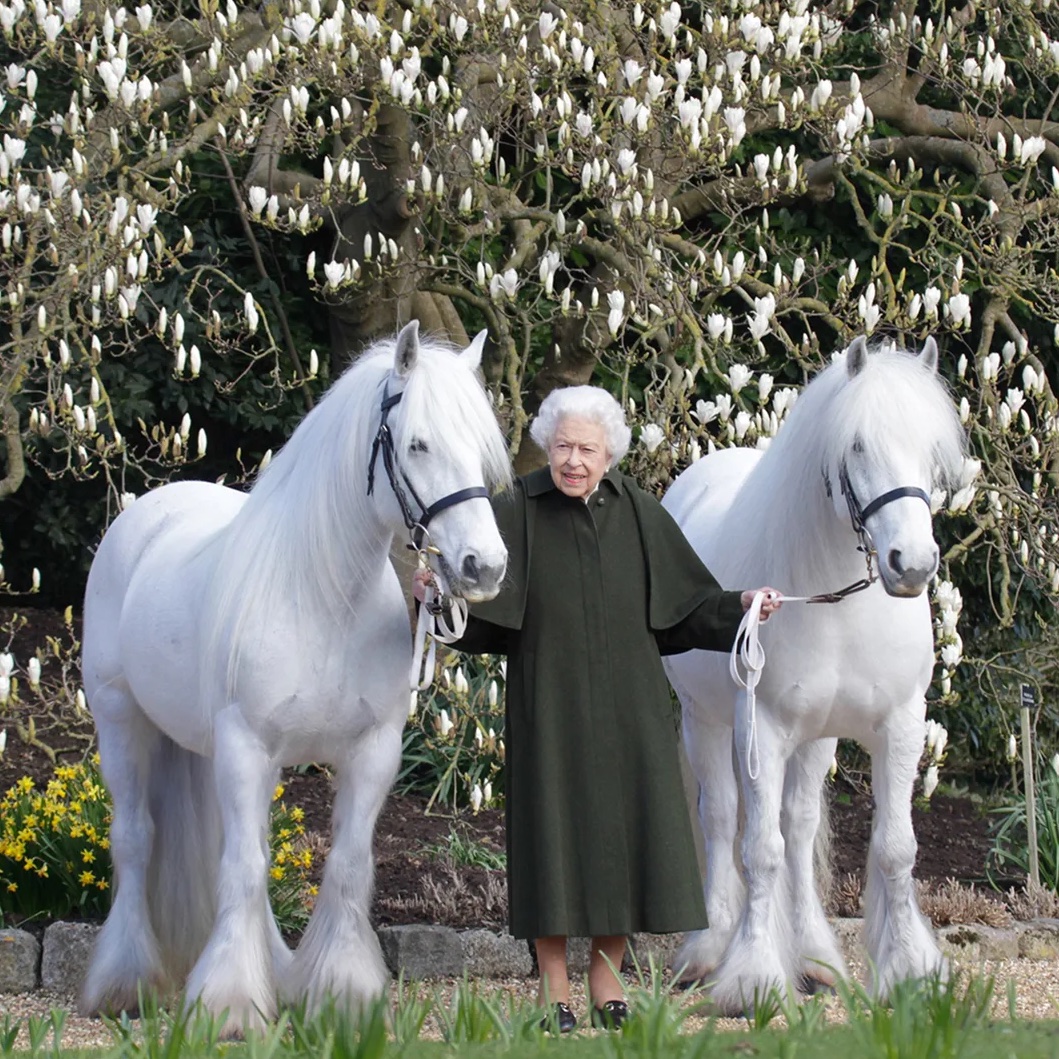 A Little Bird _ Queen's Platinum Jubilee