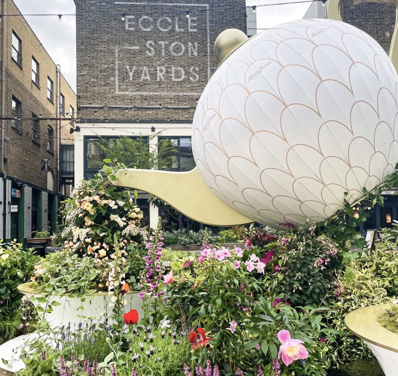 A Little Bird Pimlico