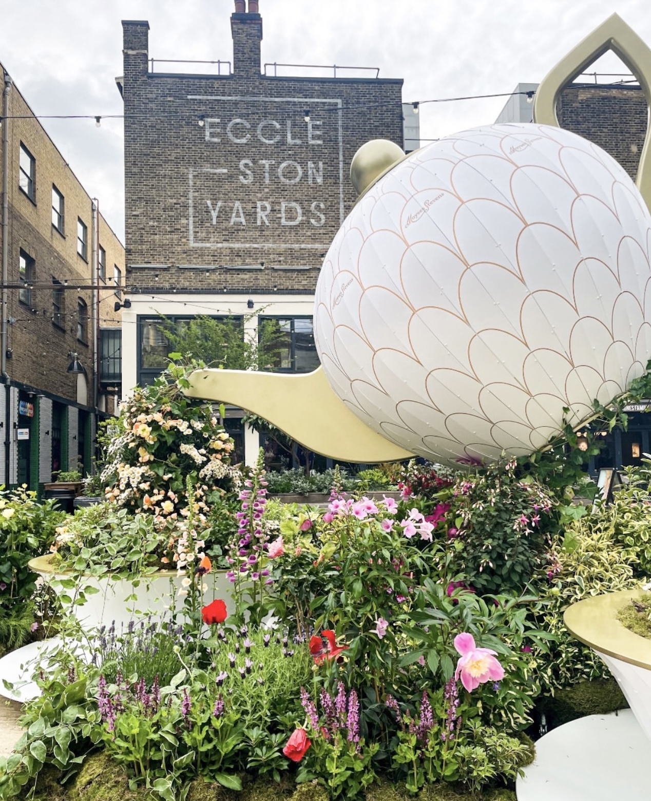 A Little Bird Pimlico