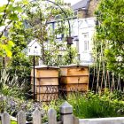 A Little Bird - Ham Yard Beekeeping