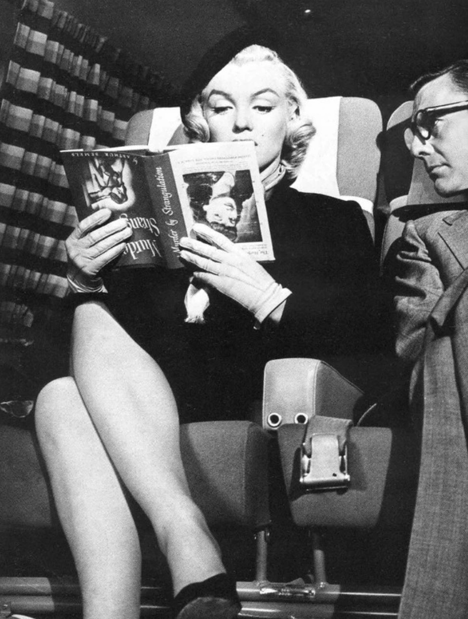 A Little Bird Summer Reads