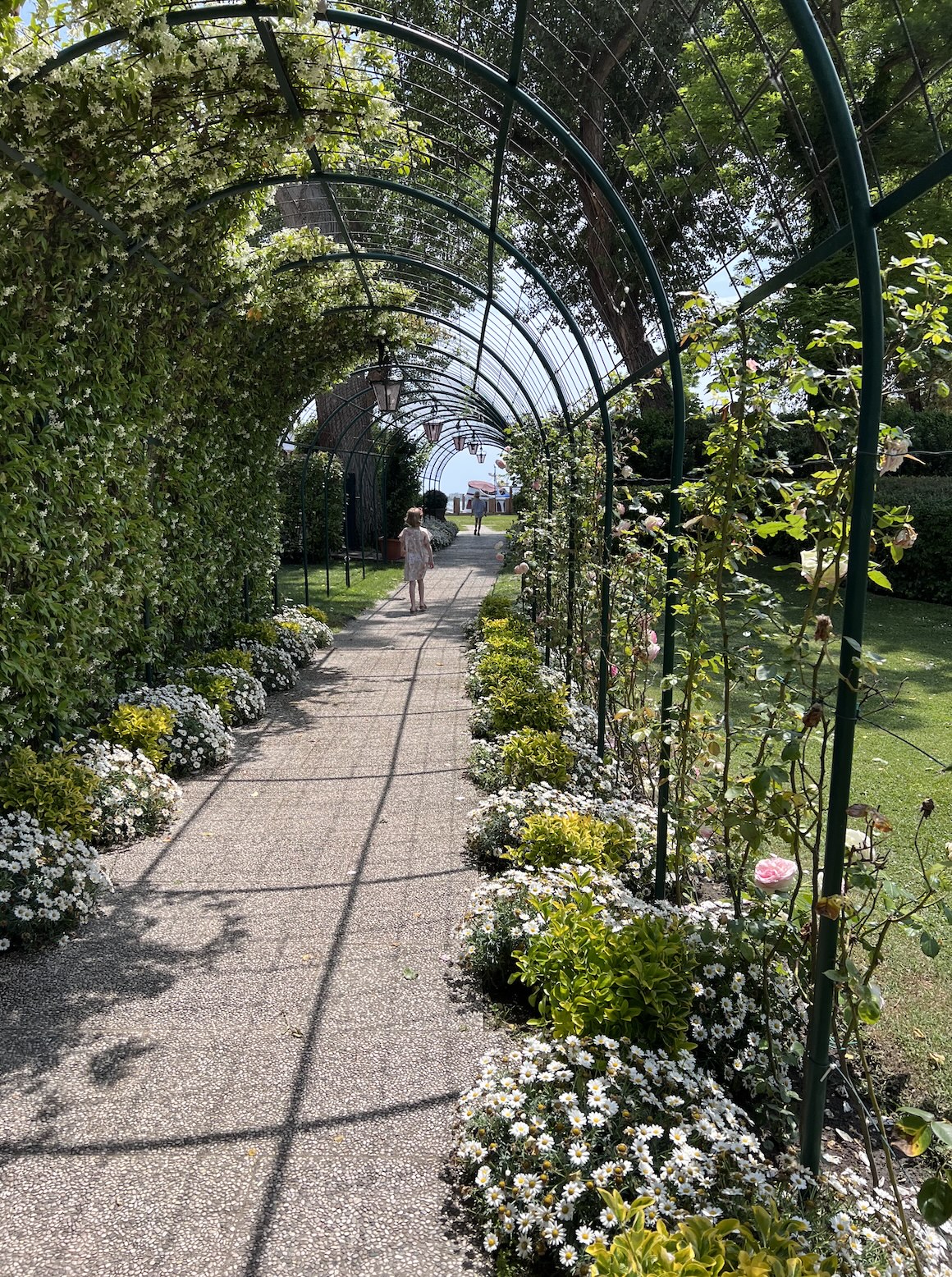 A Little Bird Cipriani Hotel Venice