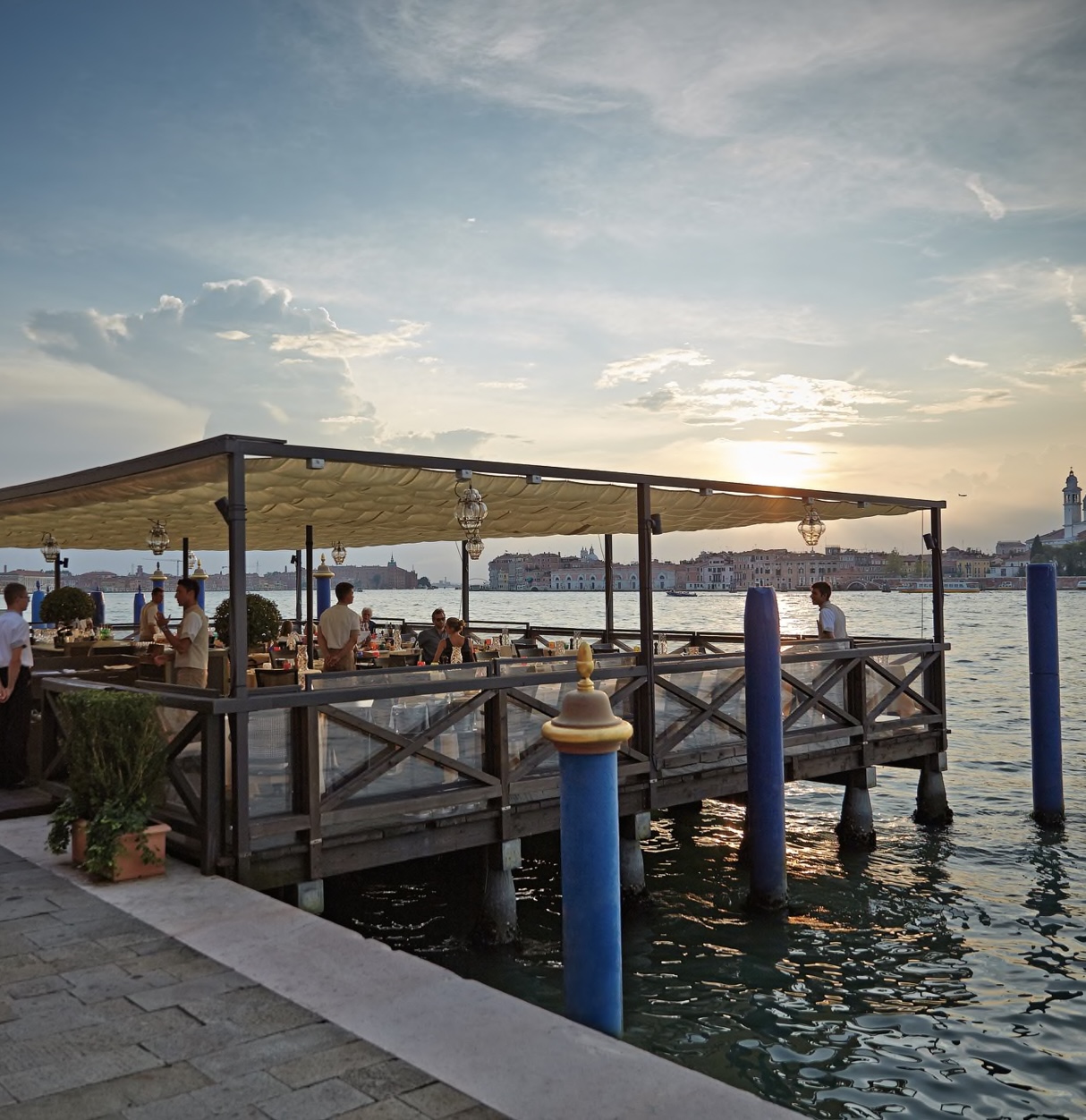 A Little Bird Cip's Club