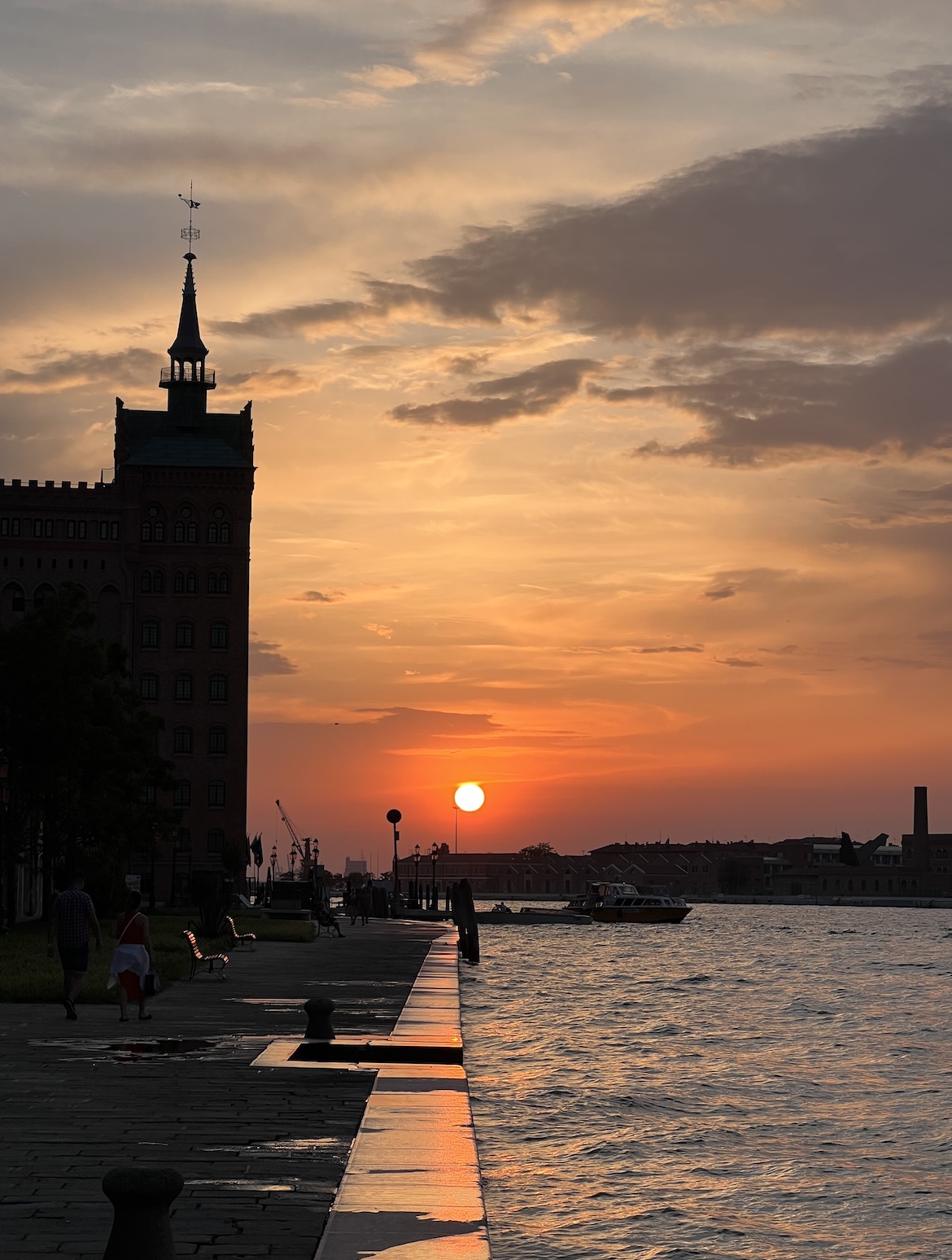 A Little Bird Venice