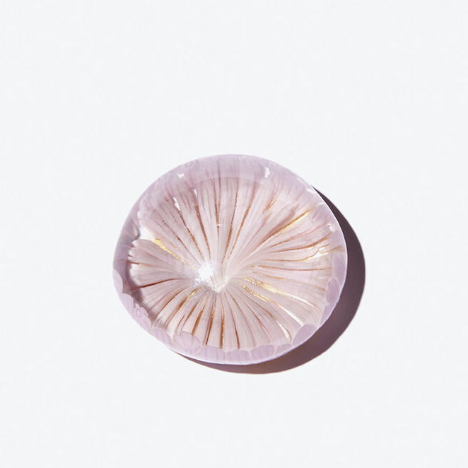 A Little Bird - Murano Paperweight