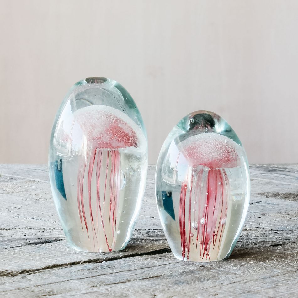 A Little Bird - jellyfish paperweights