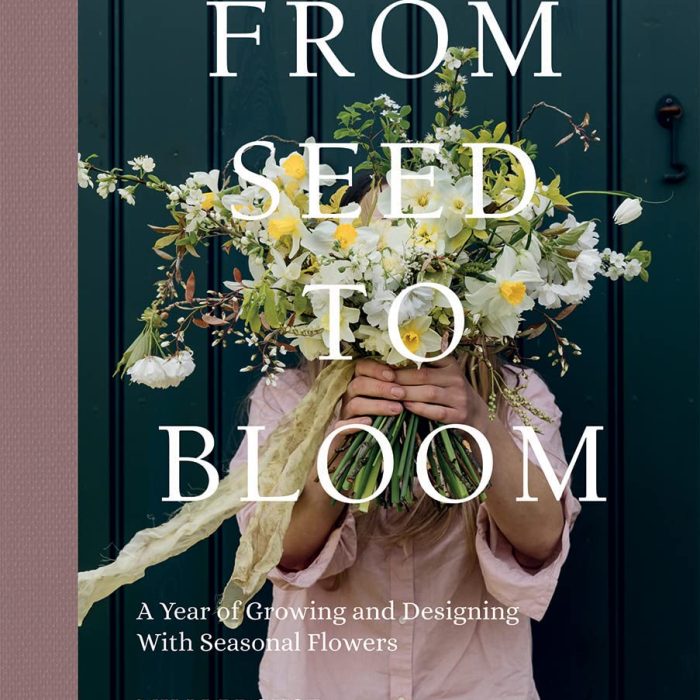 A Little Bird - From Seed to Bloom