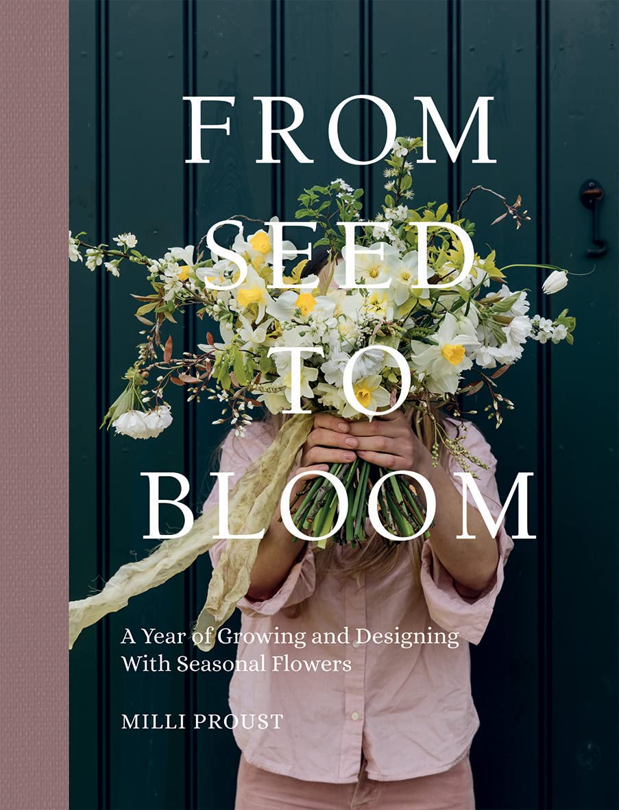A Little Bird - From Seed to Bloom