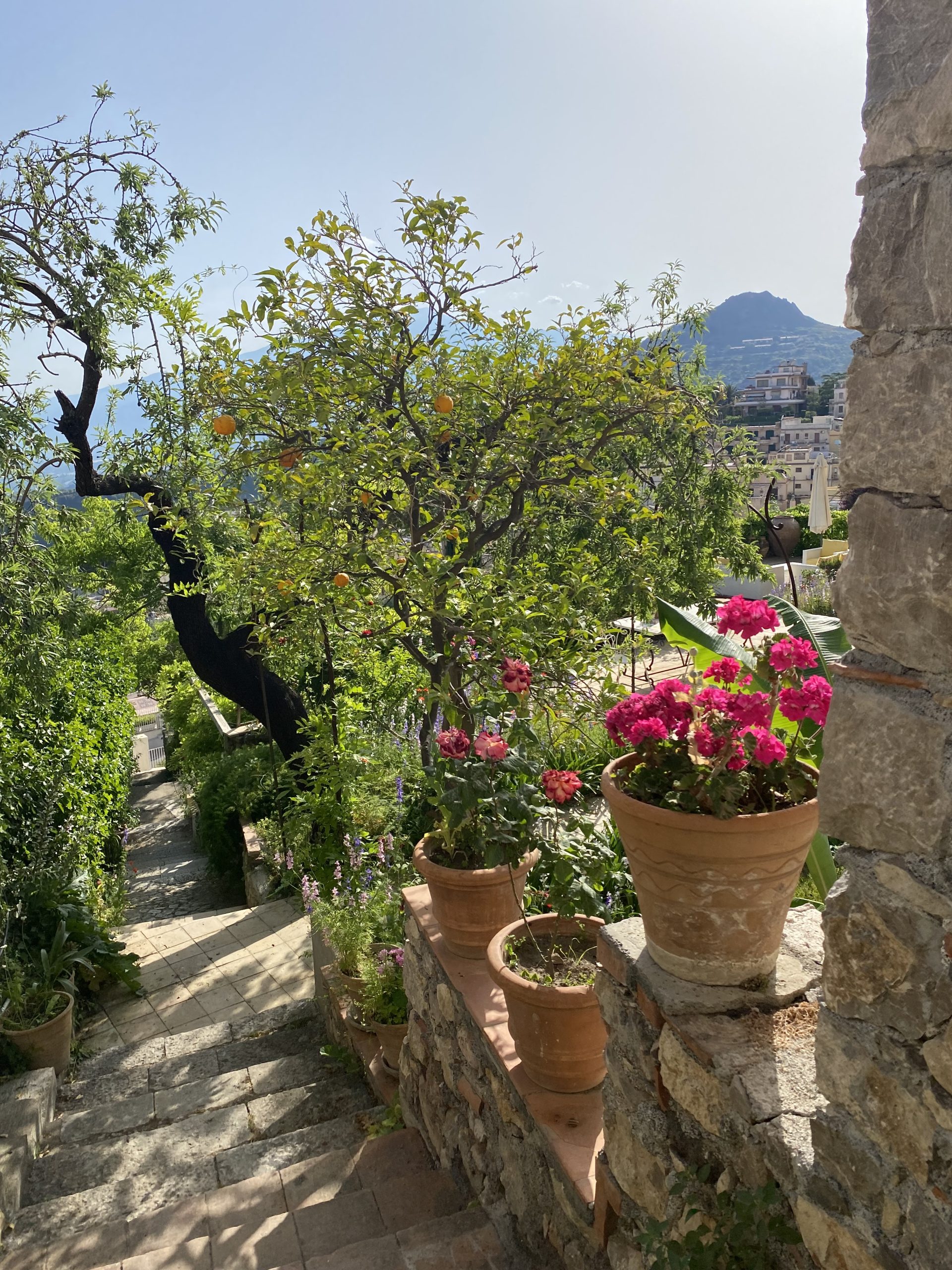 A Little Bird - Sicily