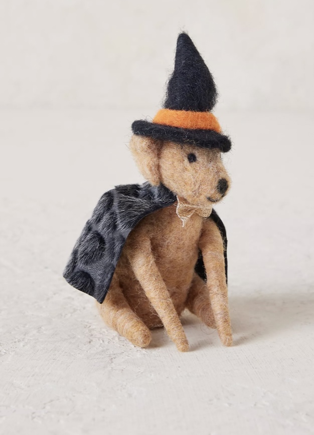 A Little Bird Anthropologie Dog Witch