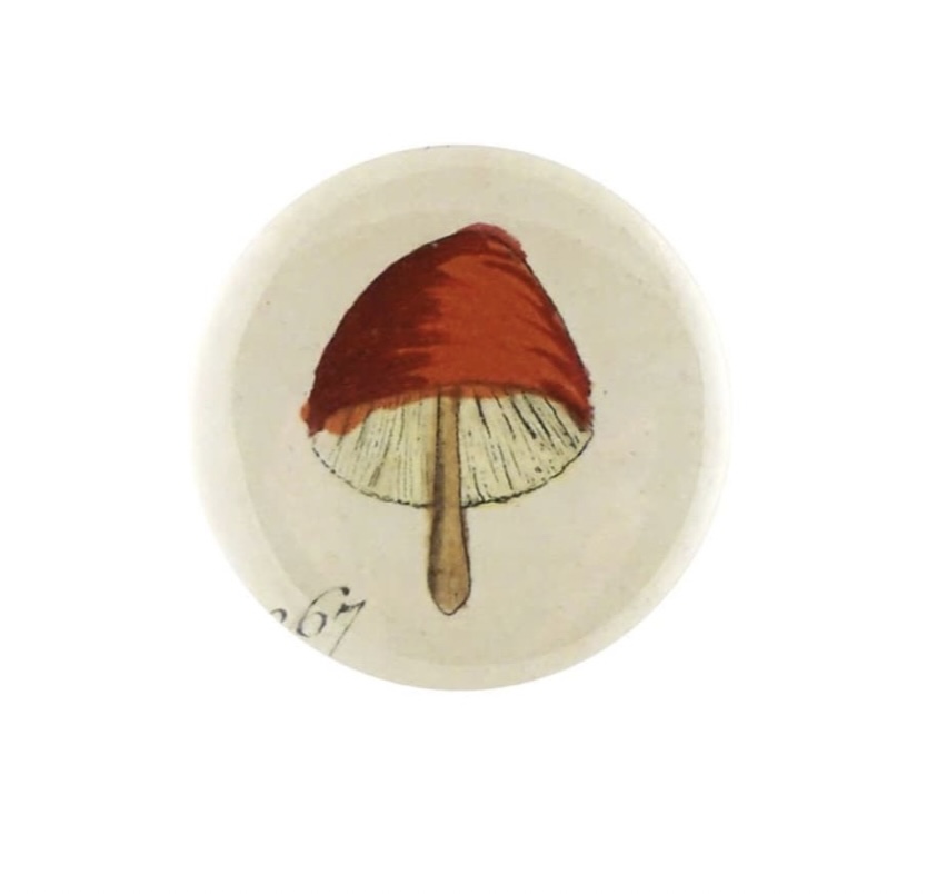 A Little Bird John Derian Mushroom