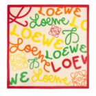 A Little Bird Loewe Scarf