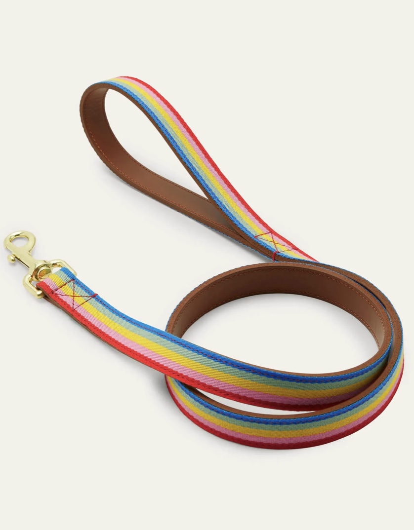 A Little Bird Boden Dog Lead