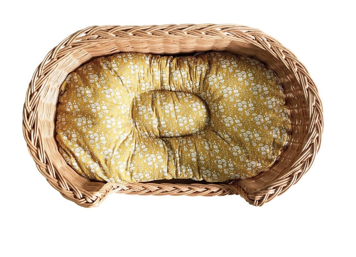 A Little Bird Coco and Wolf Dog Bed